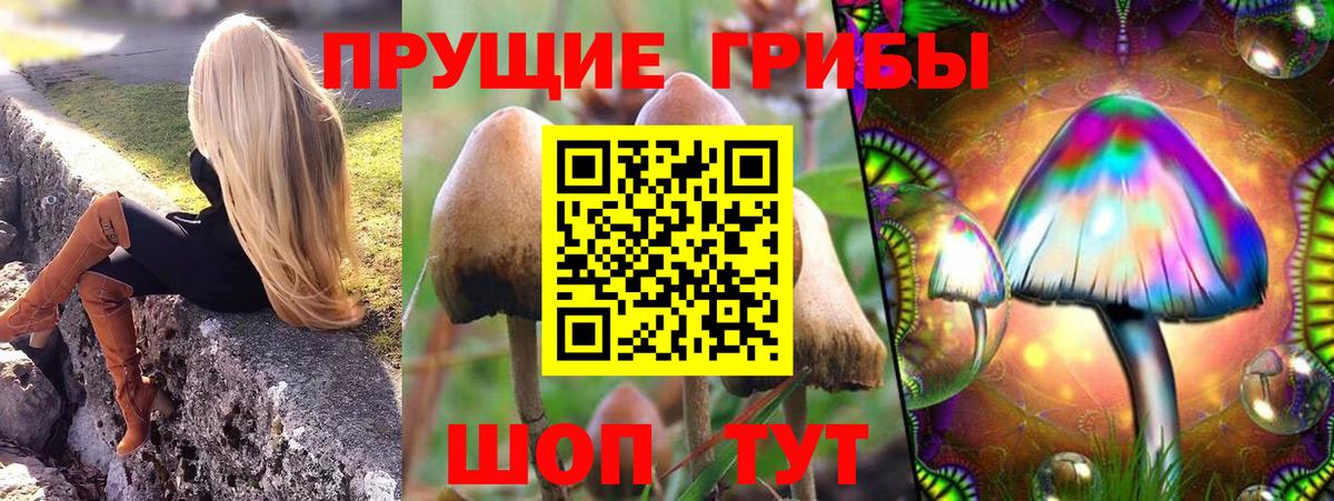 Псилоцибиновые грибы MAGIC MUSHROOMS  Псилоцибиновые грибы MAGIC MUSHROOMS  Чита  Вход с VPN 