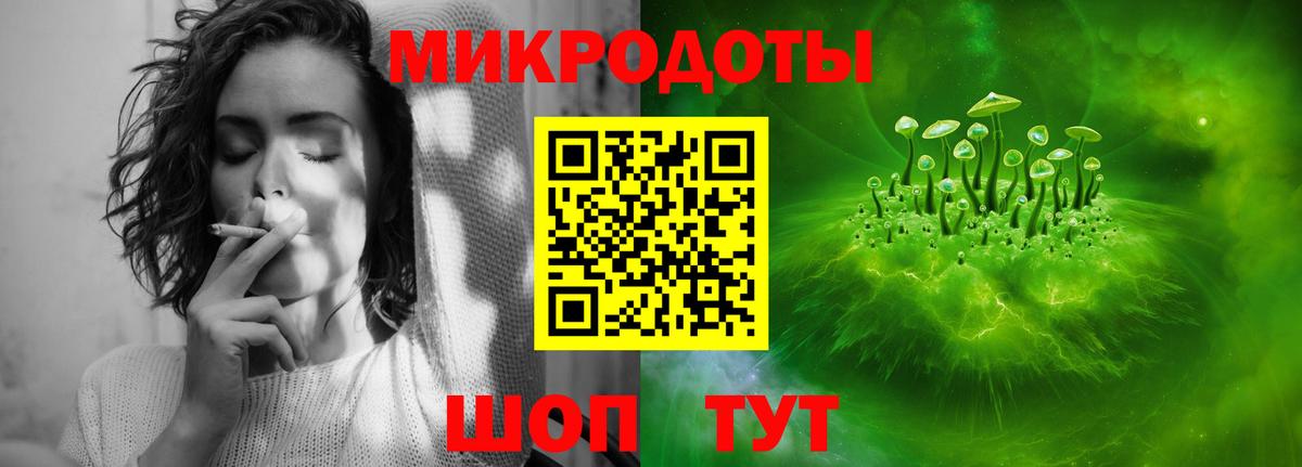 Псилоцибиновые грибы мухоморы Чита